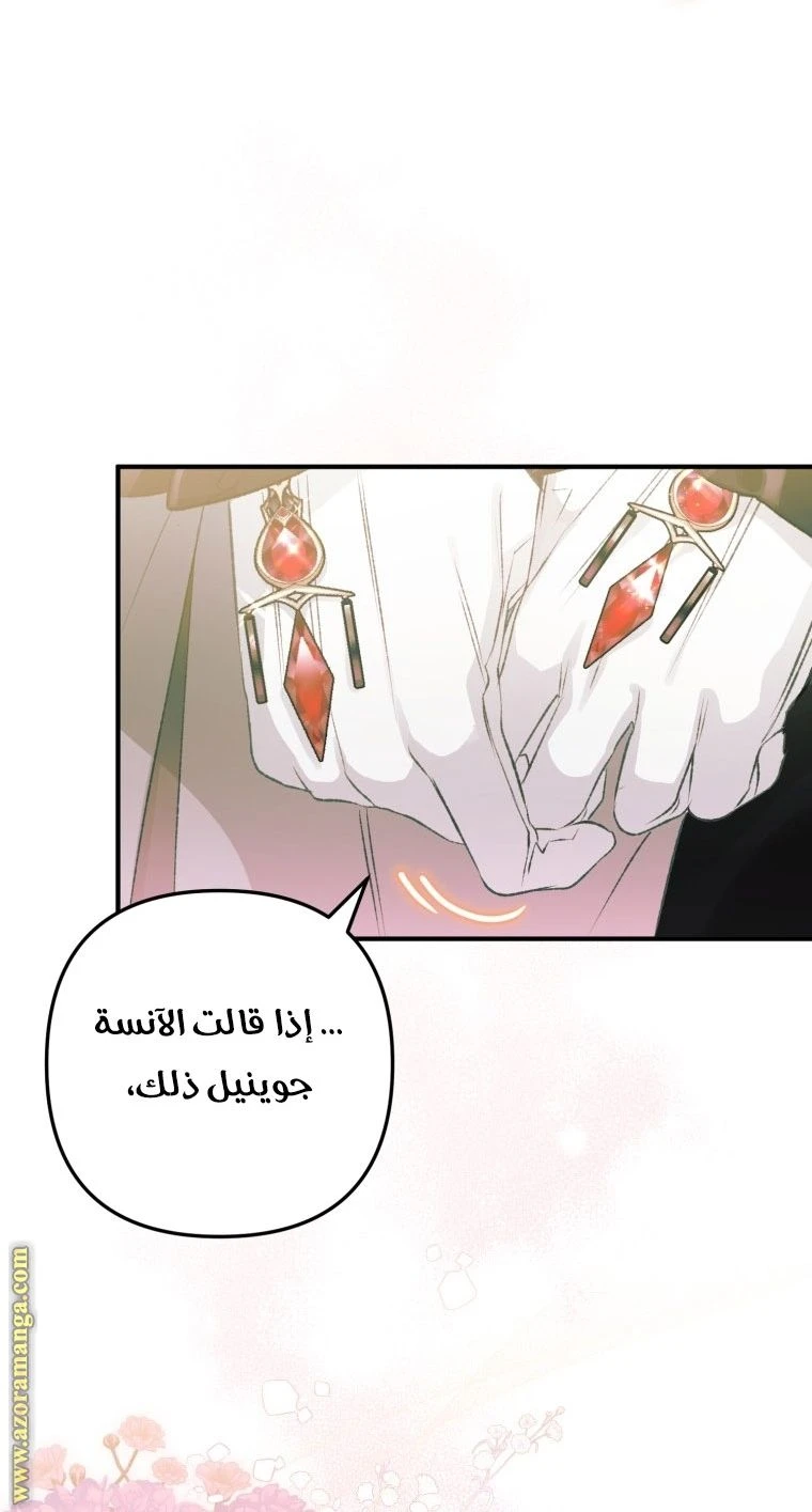 الصفحة 41