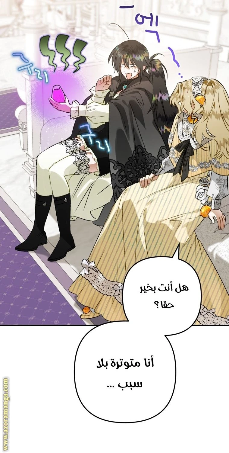 الصفحة 52