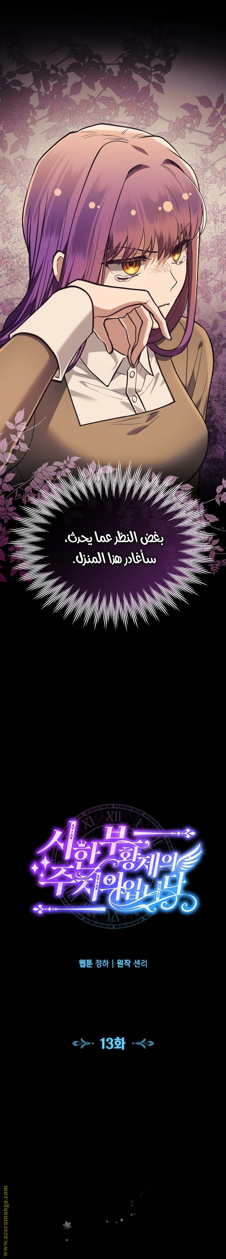 الصفحة 13