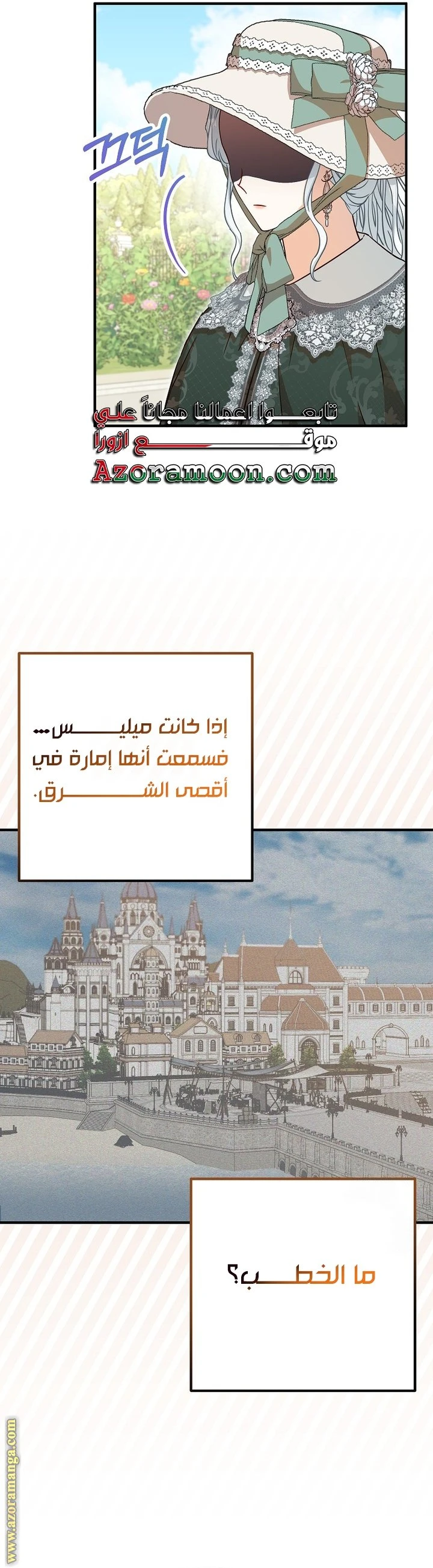 الصفحة 17