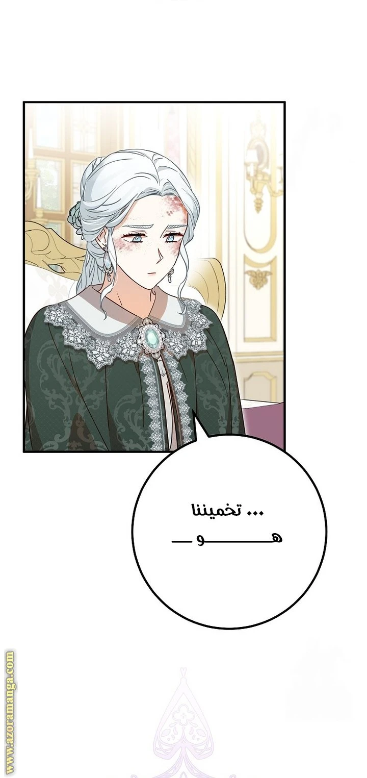 الصفحة 27