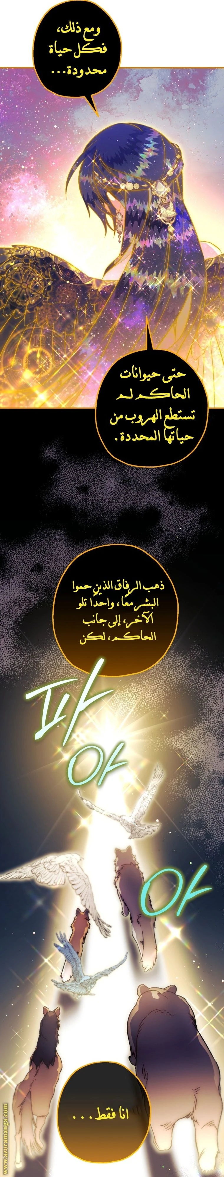 الصفحة 13