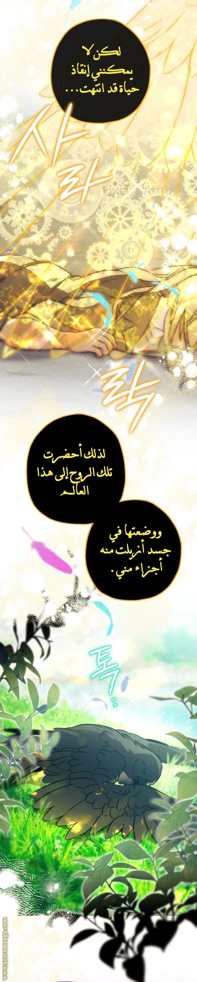 الصفحة 26
