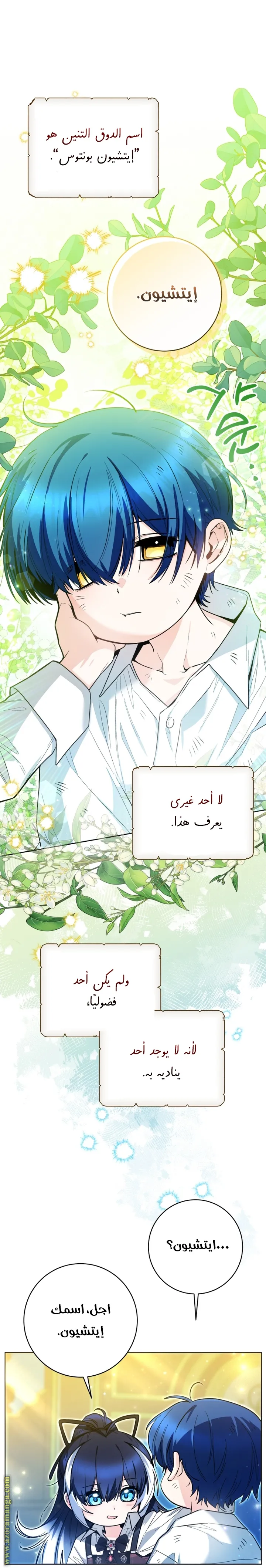 الصفحة 15