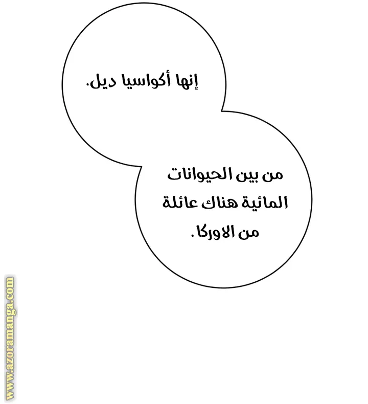 الصفحة 24