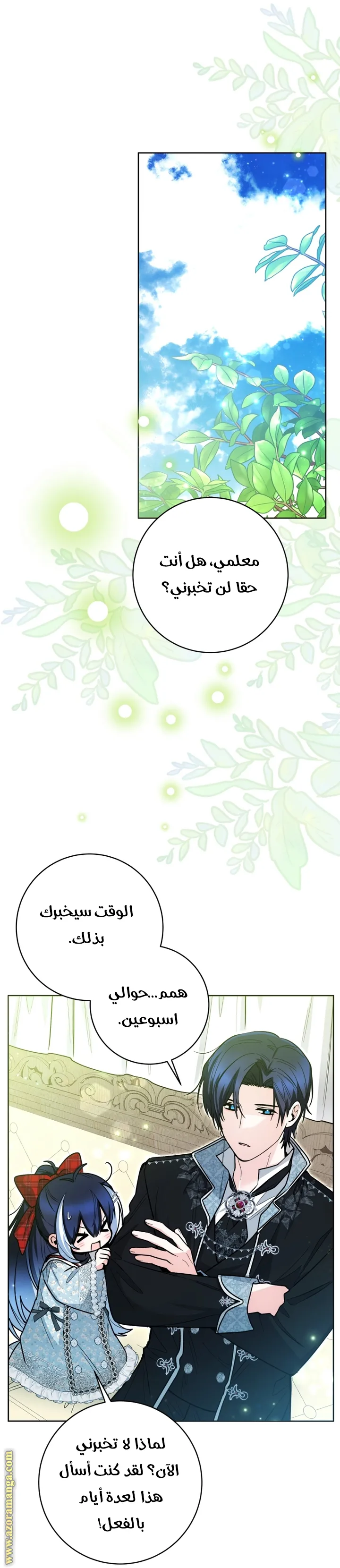 الصفحة 27