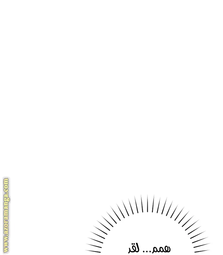 الصفحة 31