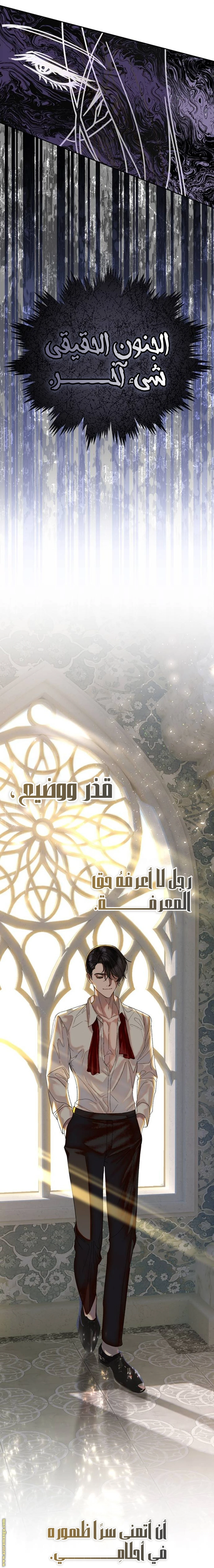 الصفحة 17