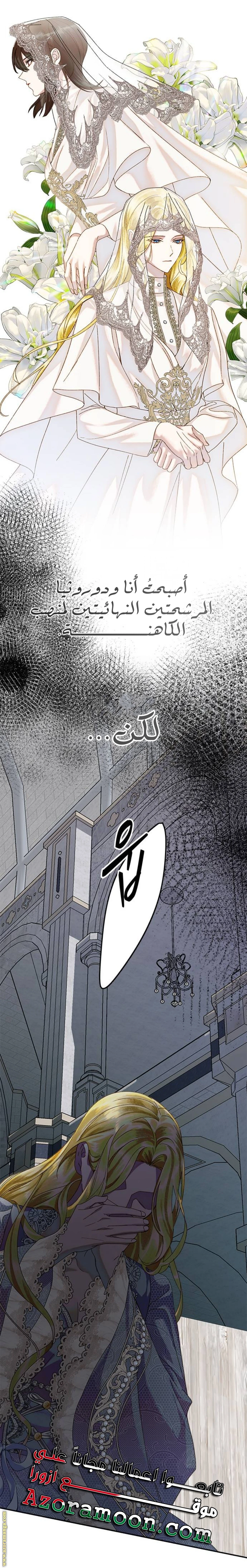 الصفحة 29