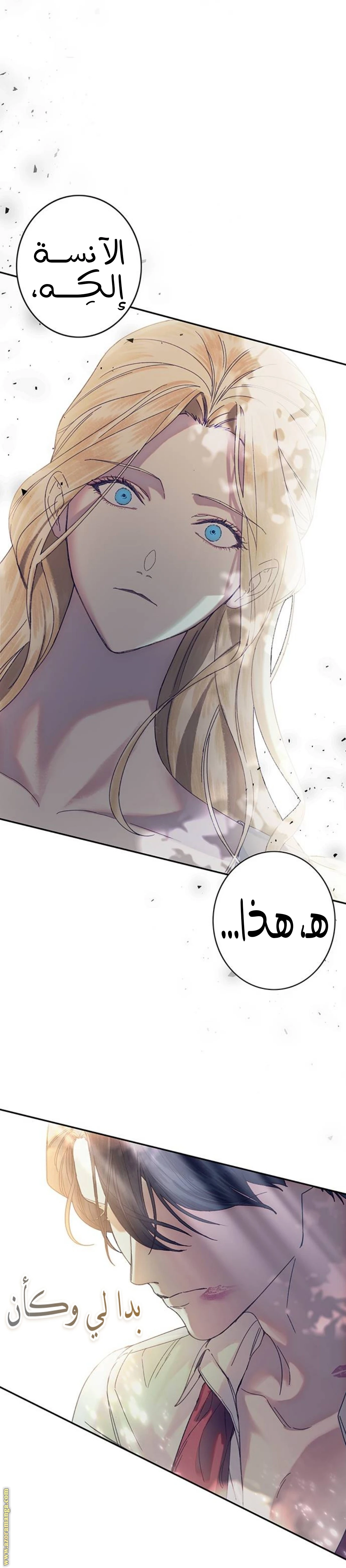 الصفحة 38