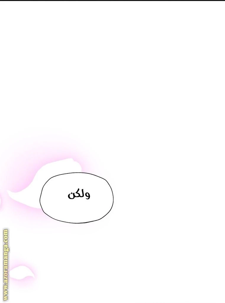 الصفحة 40