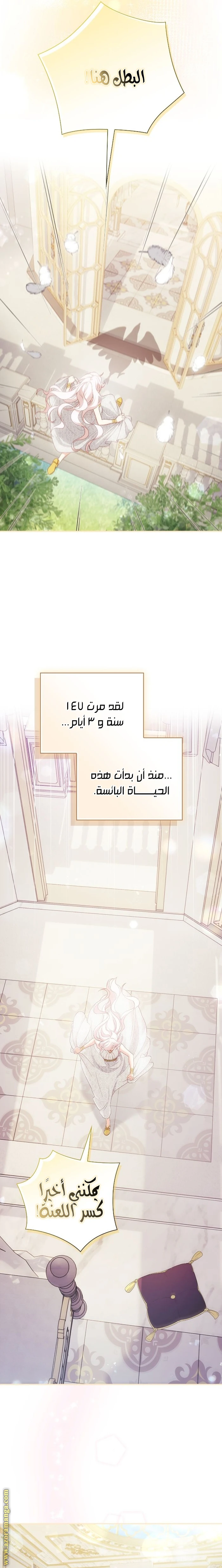 الصفحة 7