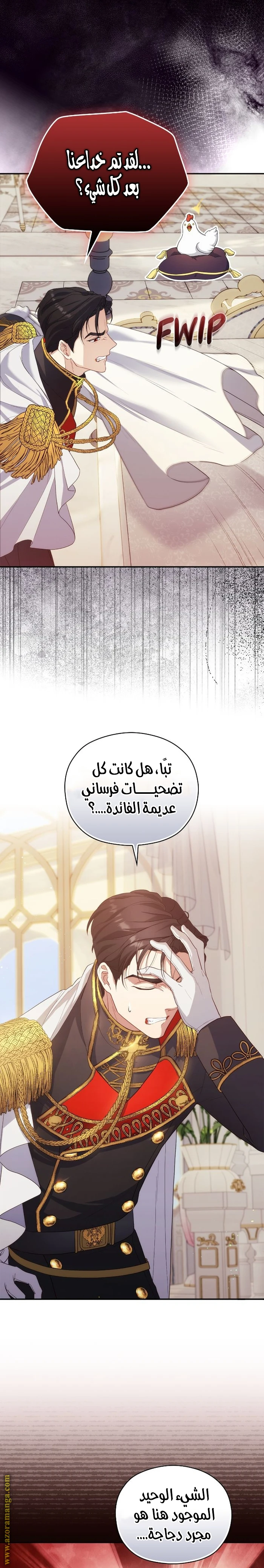 الصفحة 11