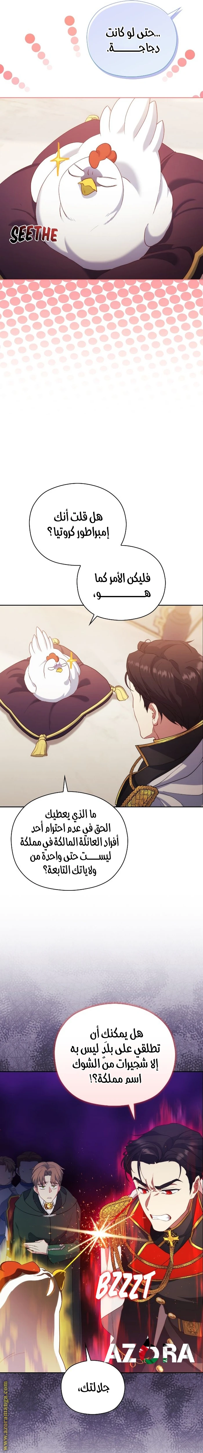 الصفحة 17