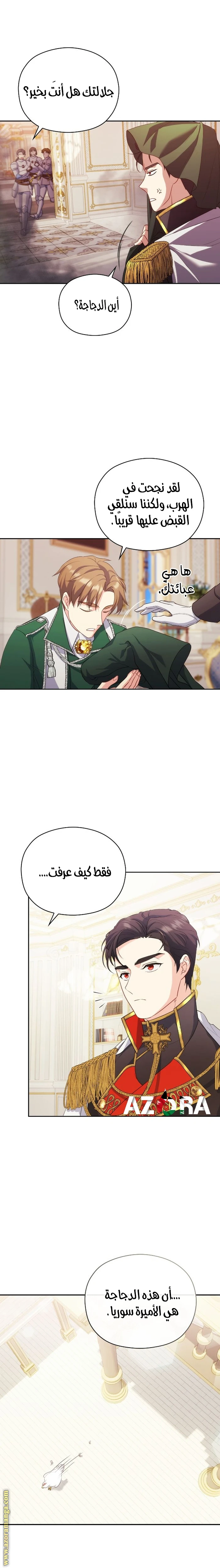 الصفحة 25