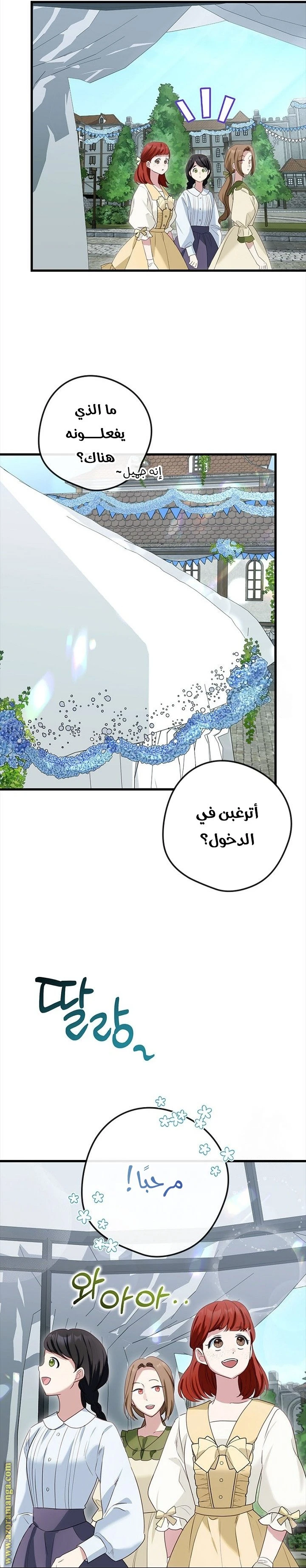 الصفحة 19