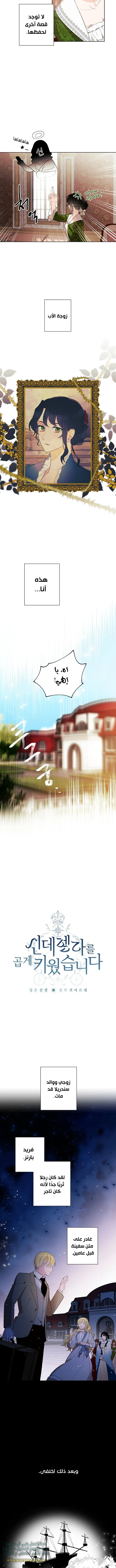 الصفحة 3