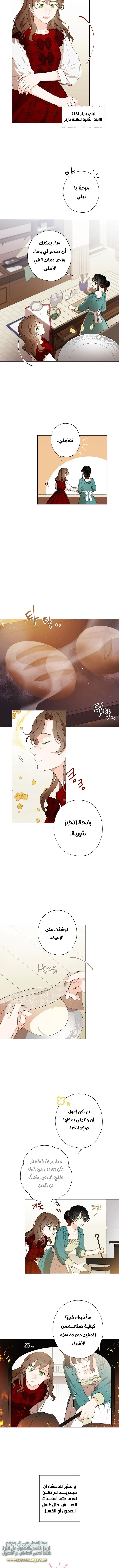 الصفحة 8
