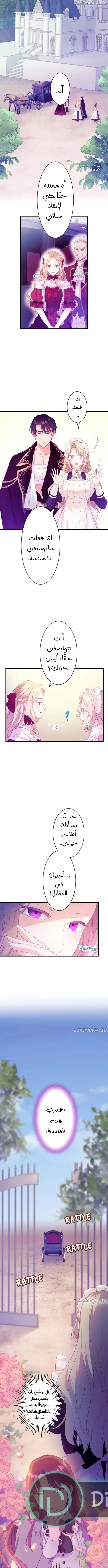 الصفحة 6