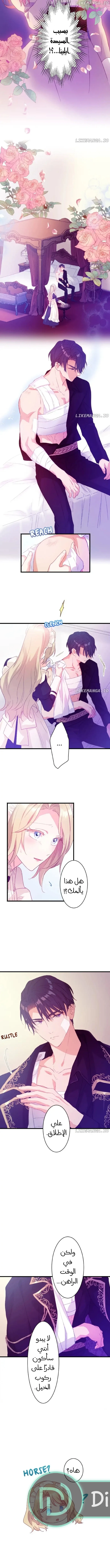الصفحة 7