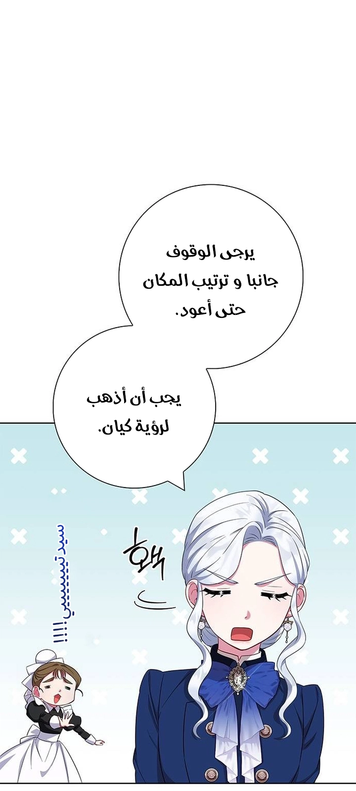 الصفحة 17