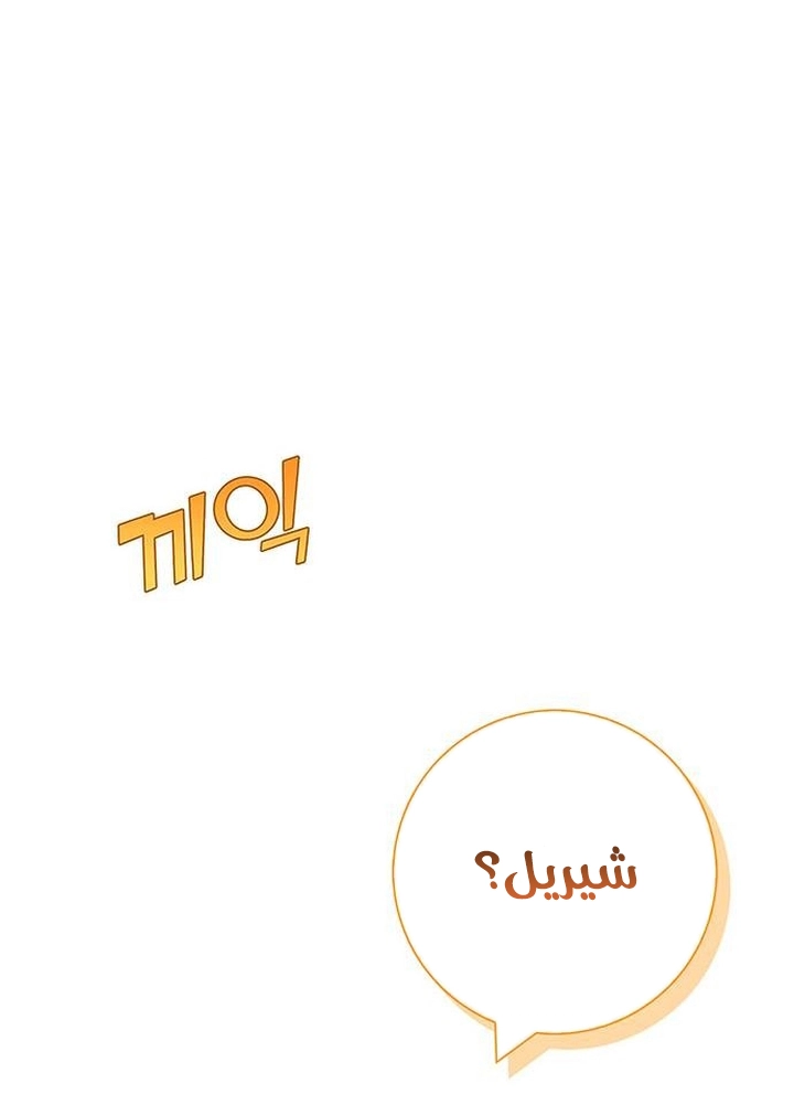 الصفحة 22