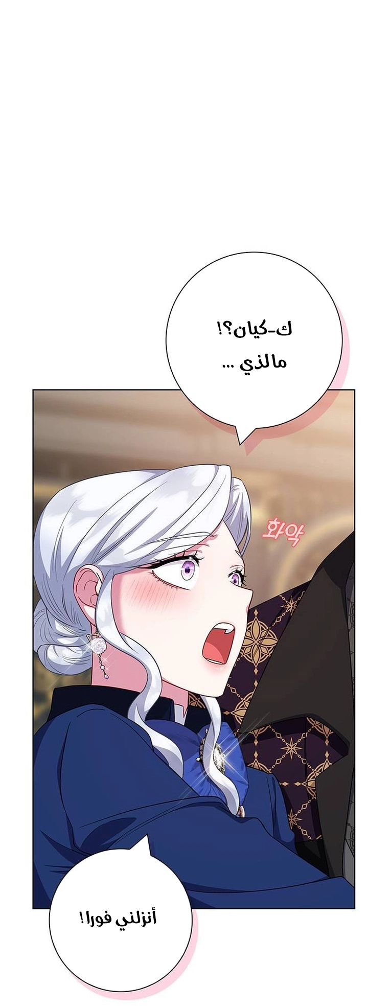 الصفحة 28