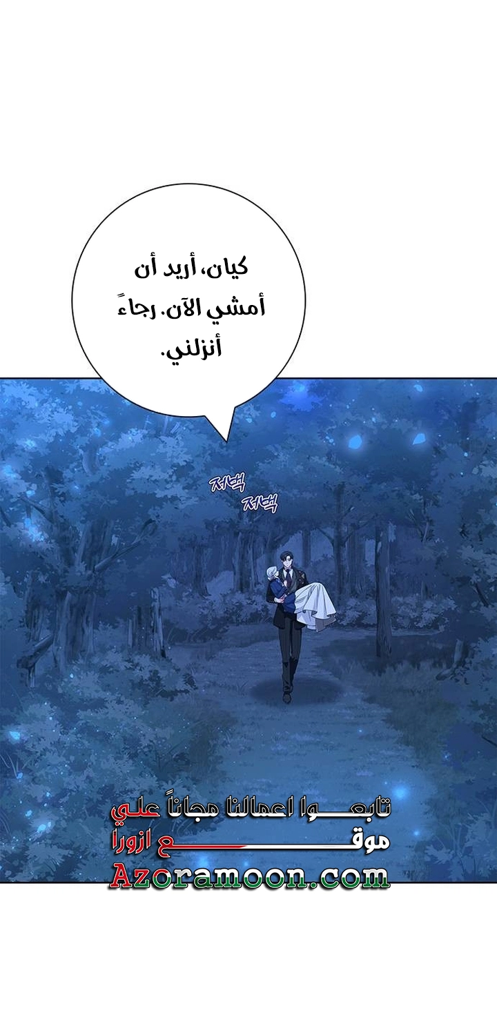 الصفحة 31