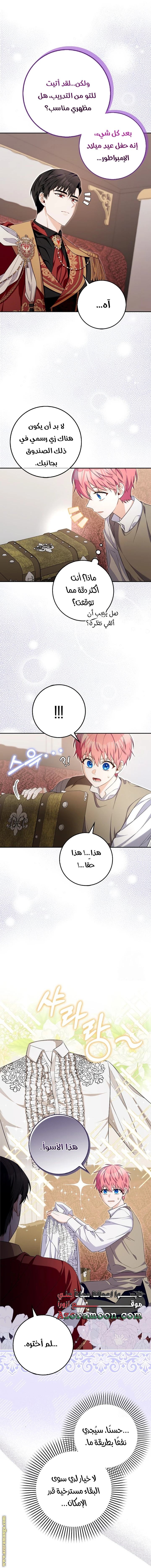 الصفحة 13