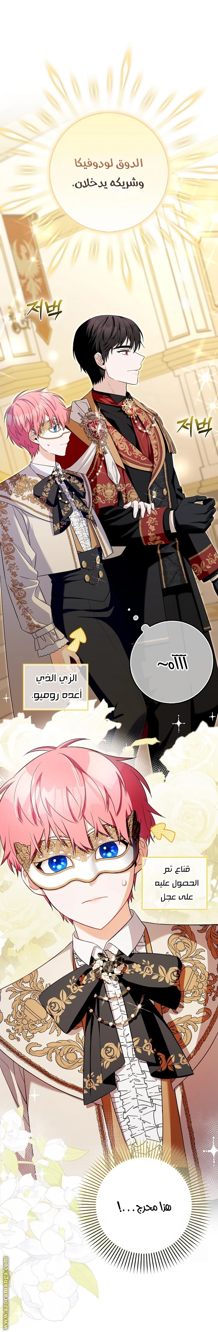 الصفحة 16