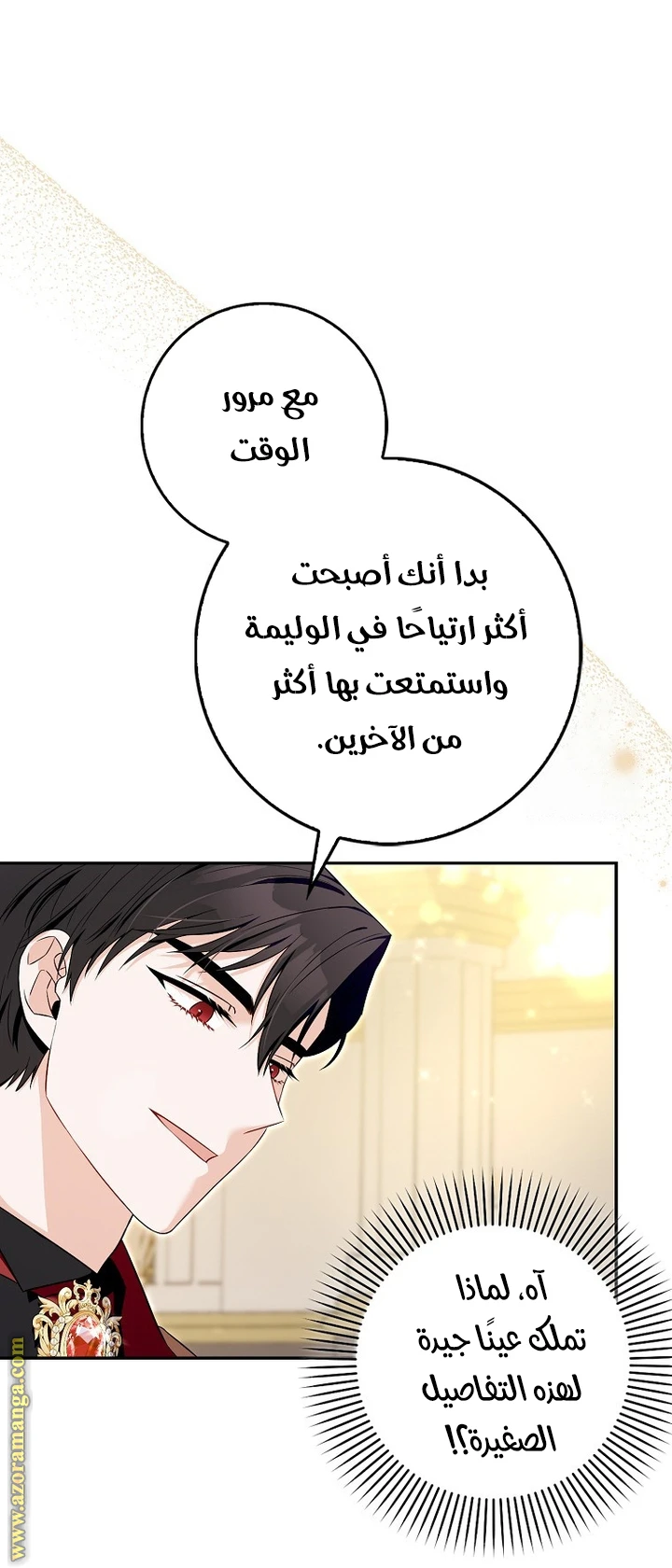 الصفحة 25