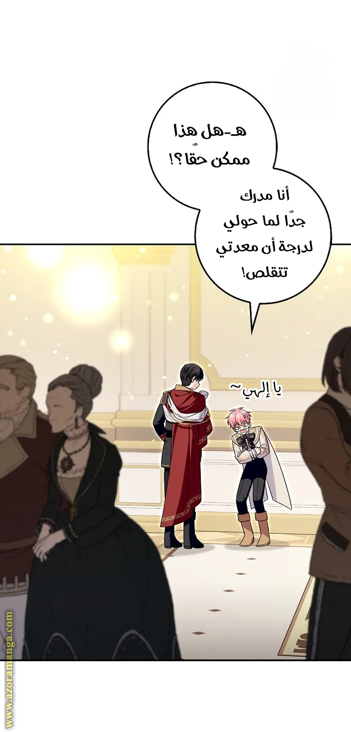 الصفحة 26