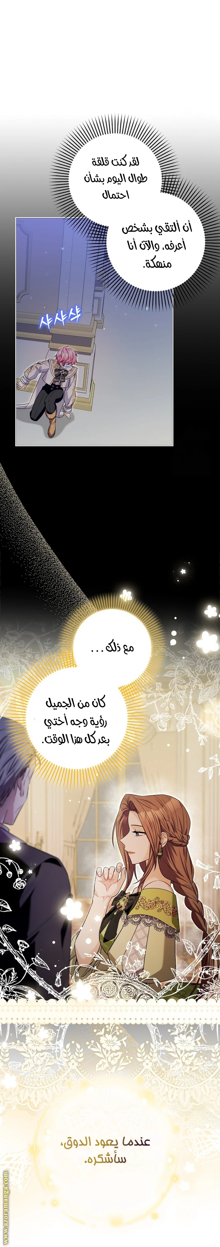 الصفحة 30