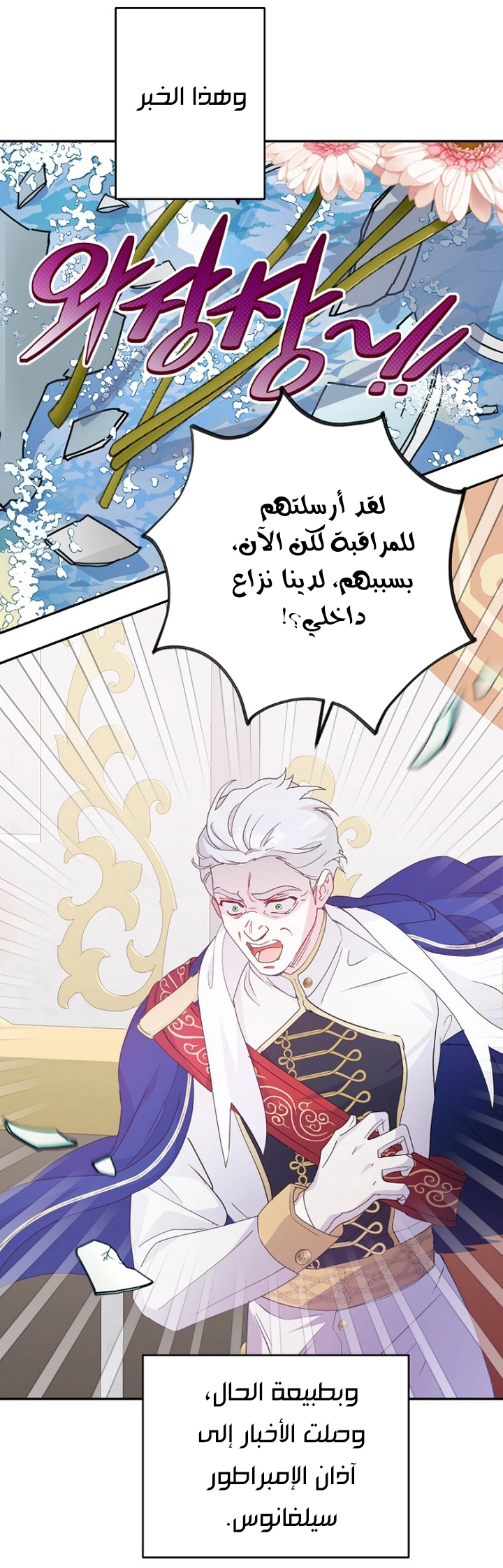 الصفحة 17