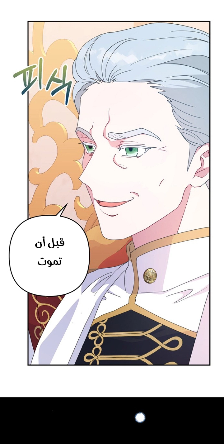 الصفحة 24