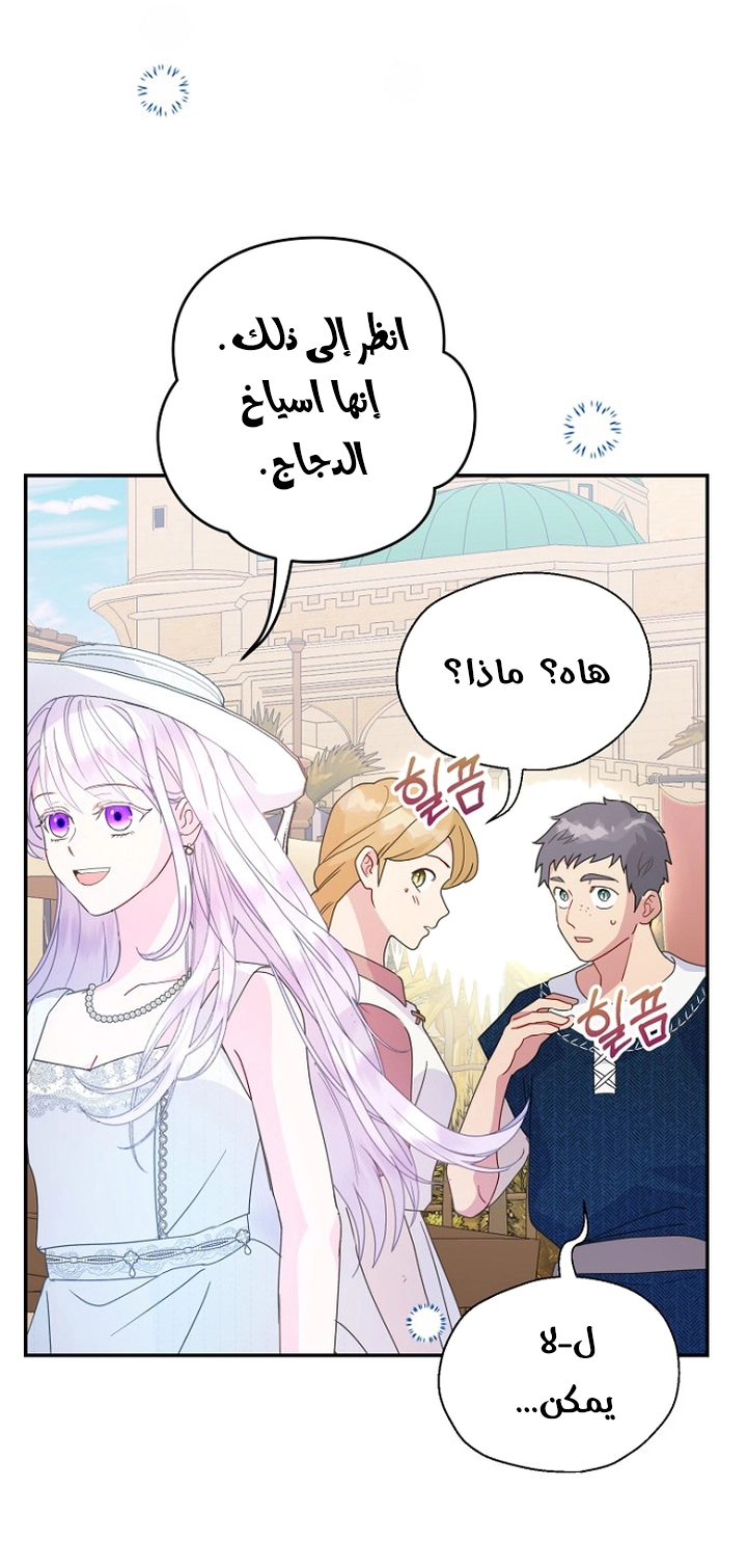 الصفحة 26