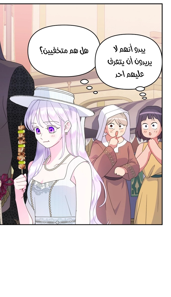 الصفحة 29