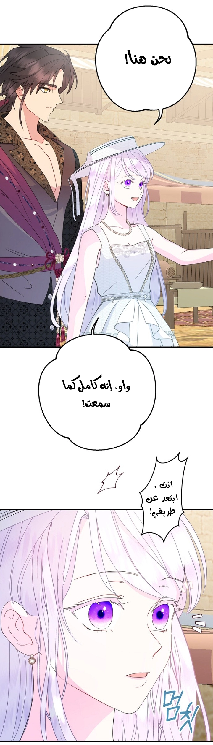 الصفحة 42