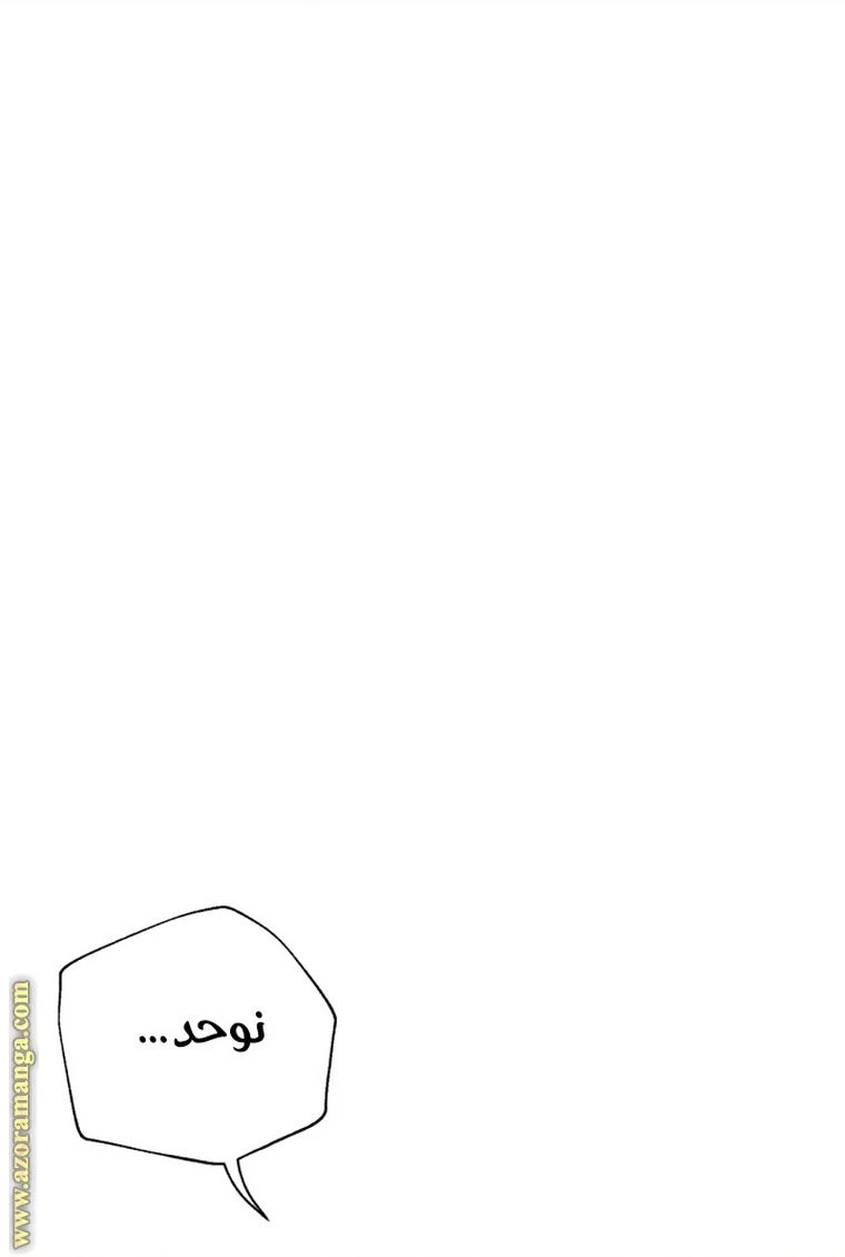 الصفحة 41