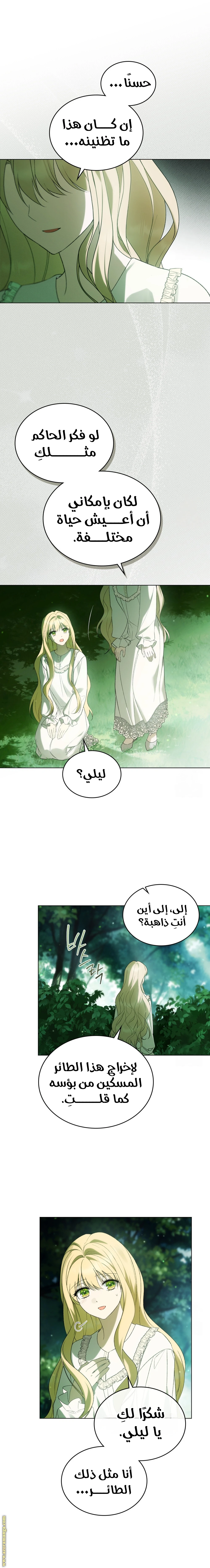الصفحة 6