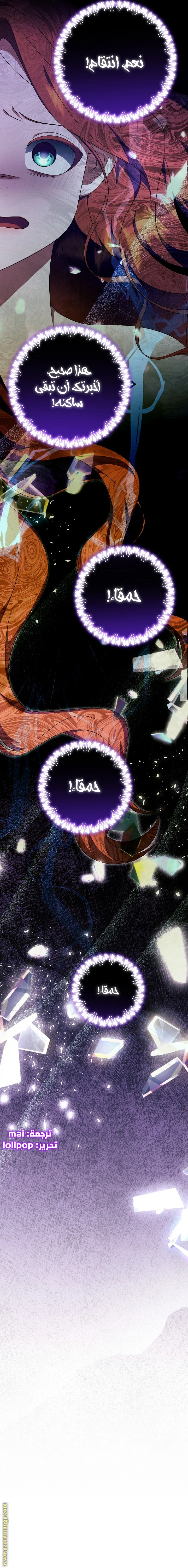 الصفحة 21