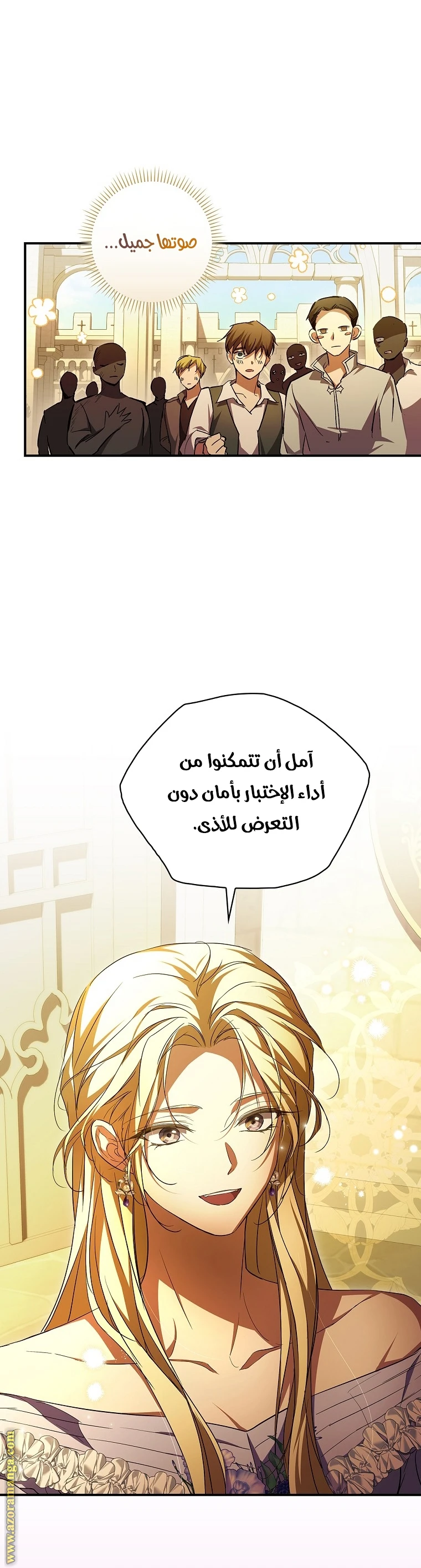 الصفحة 17