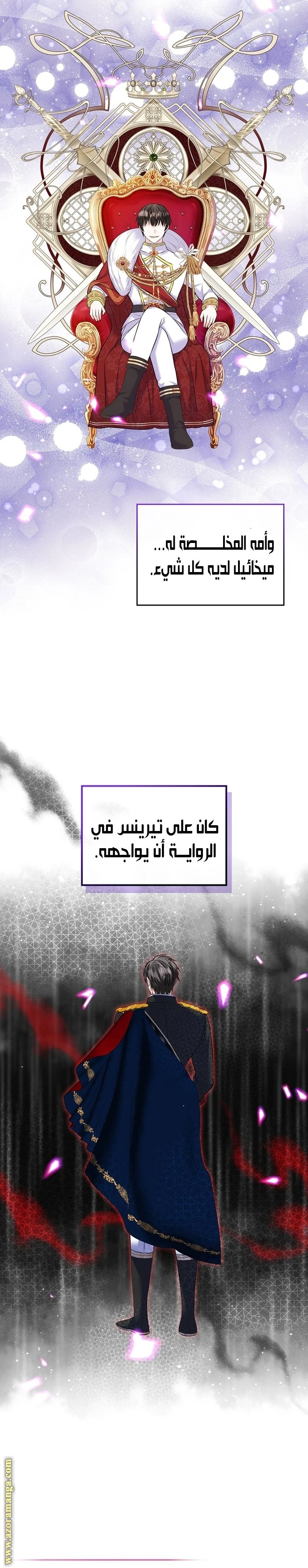 الصفحة 17