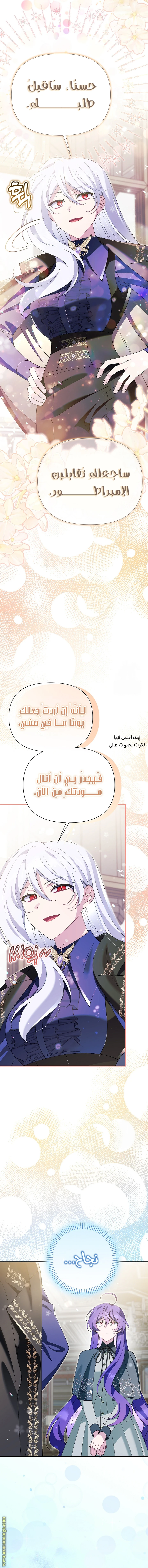 الصفحة 7
