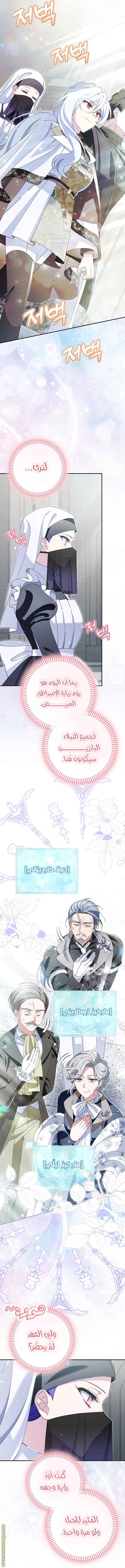 الصفحة 12