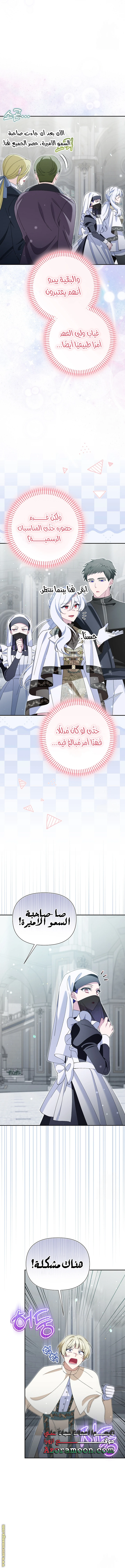 الصفحة 13