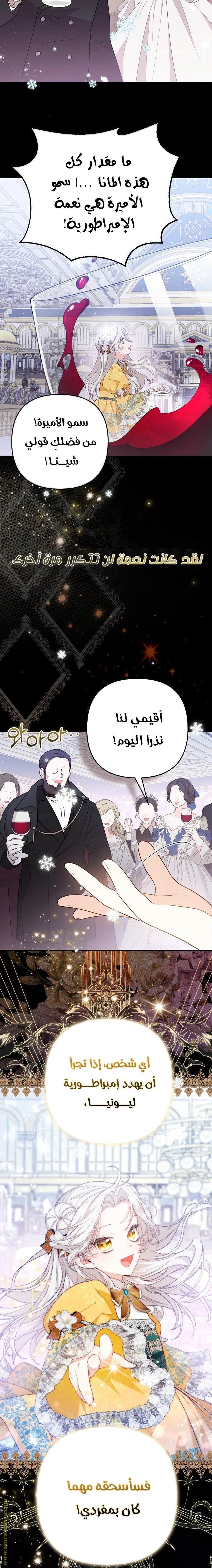 الصفحة 17