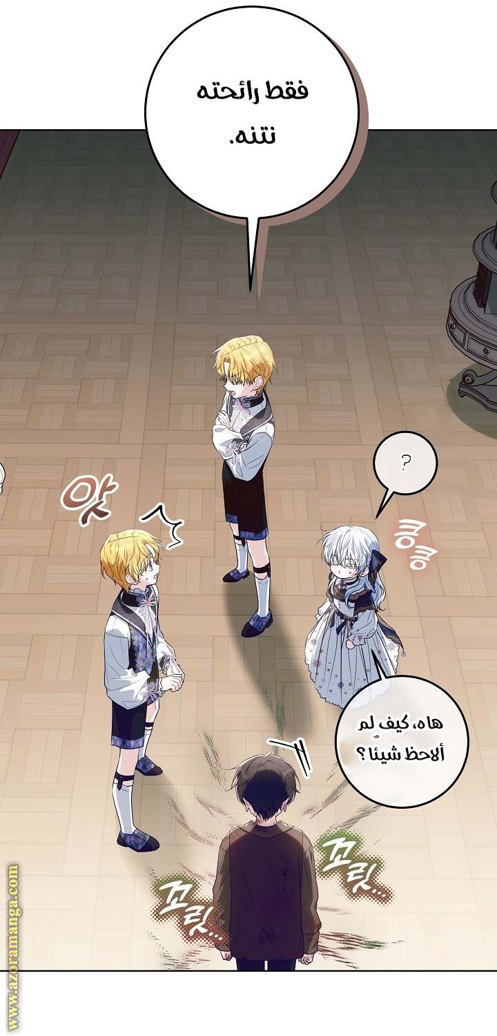 الصفحة 29