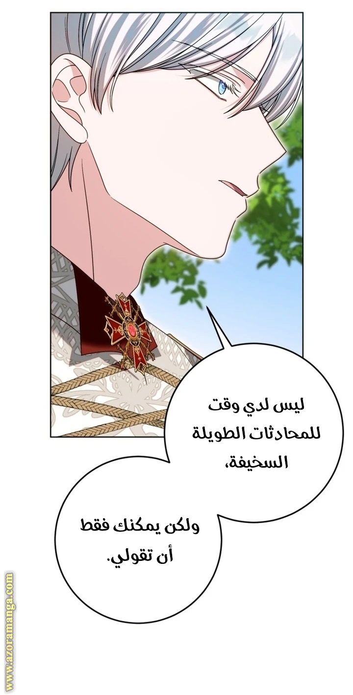 الصفحة 25