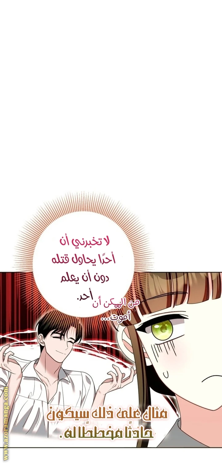 الصفحة 29